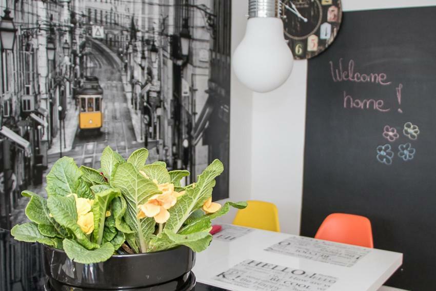 Apartment Travel Hub *** Varazdin Ngoại thất bức ảnh